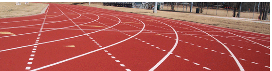 Athletic Sporting Fields, Hockey Fields